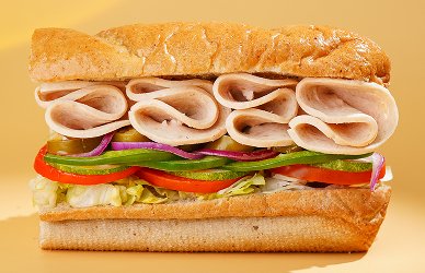 Chicken Salami Sub 1