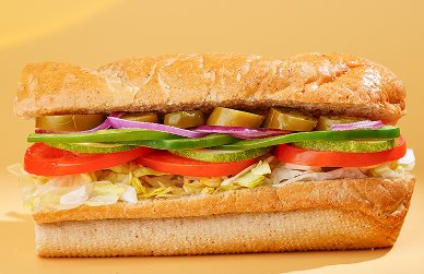 Veggie Supreme Sub 1